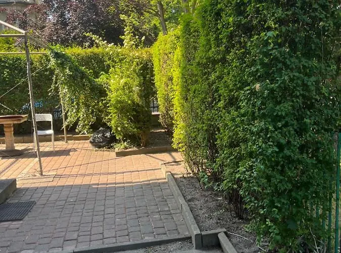 Appartement Small Prime Location